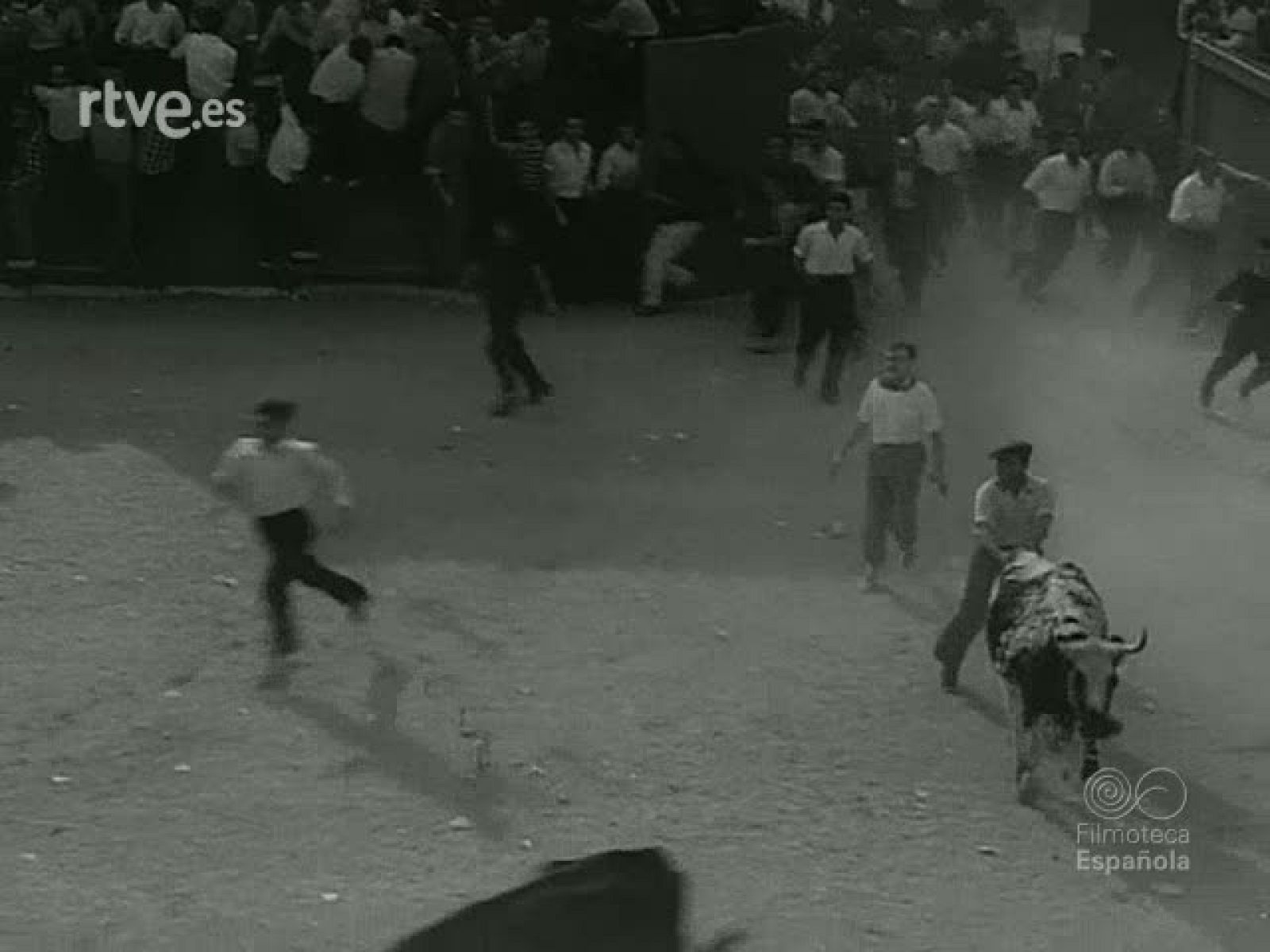 NOT N 818 A - NO-DO | Ver