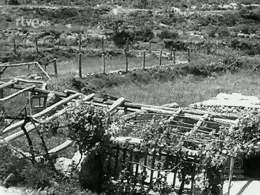 NO-DO - NOT N 1754 B