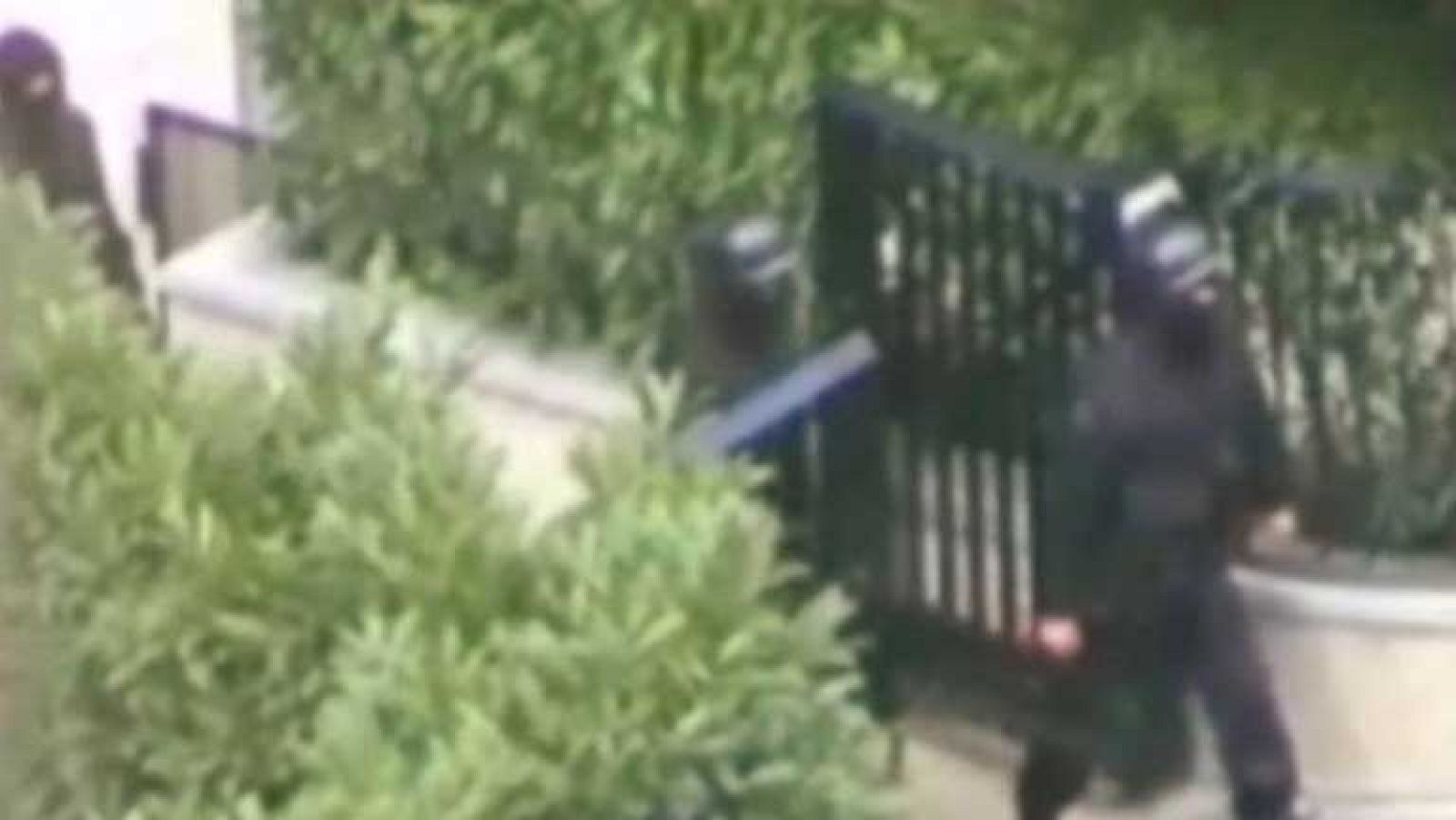 Cronología del Publio Cordón