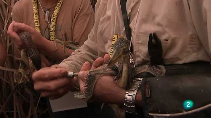 Biodiario - Biodiario - 22/07/12