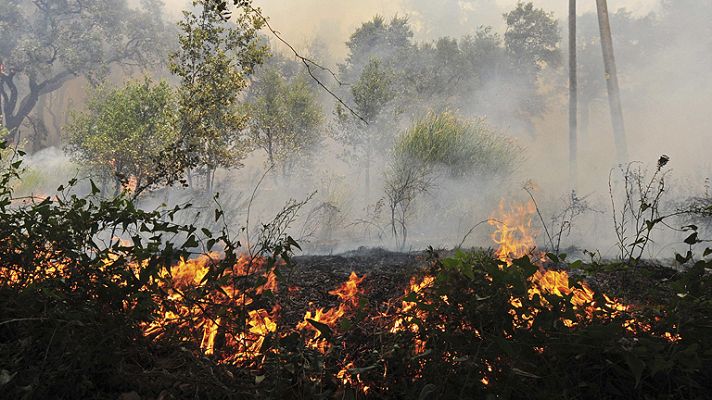 Informativo 24h - Incendio en el Empordà
