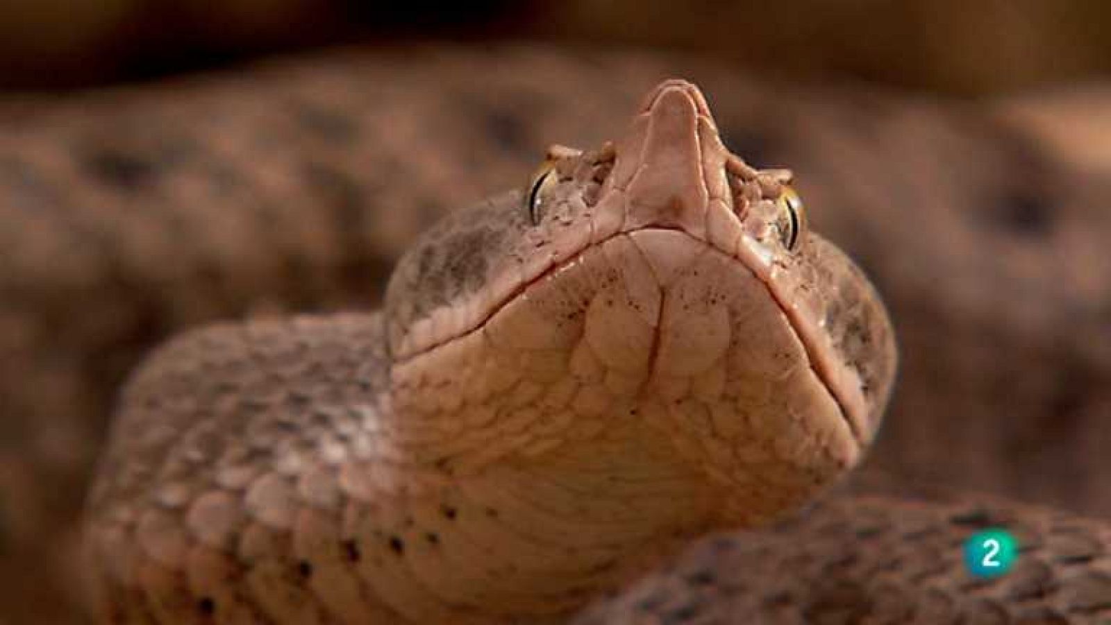 Biodiario - 24/07/12 - Ver ahora