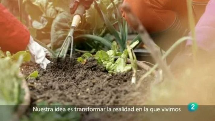 Para todos La 2 - Para todos La 2 - ONG - Dríadas