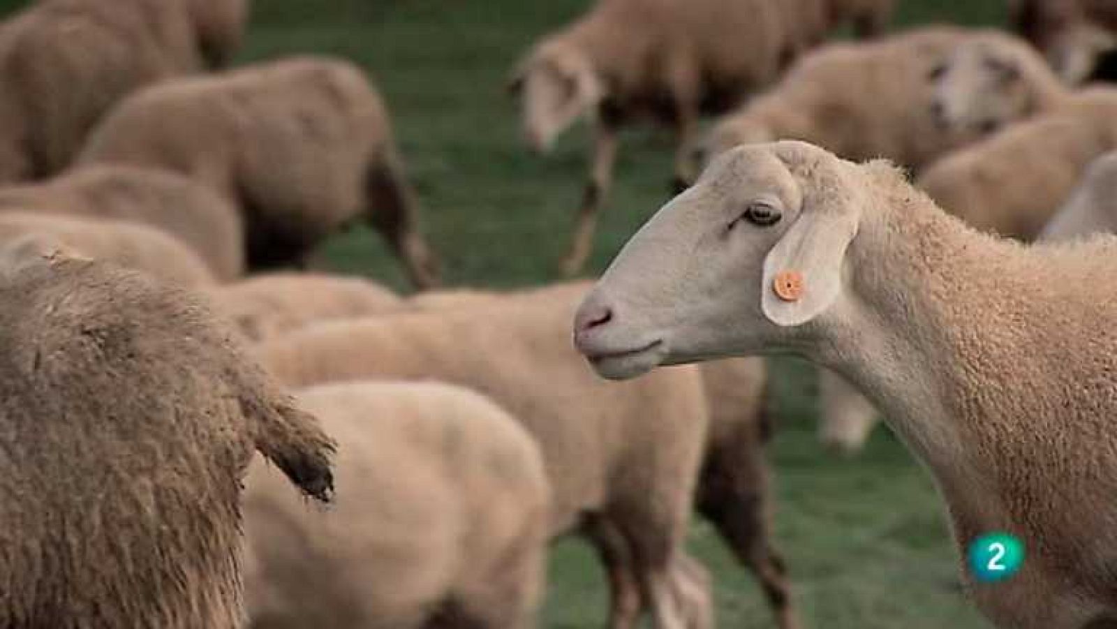 Biodiario - 25/07/12 - Ver ahora