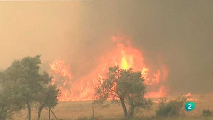 Agrosfera - Agrosfera - 28/07/12