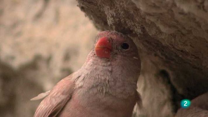 Biodiario - Biodiario - 29/07/12