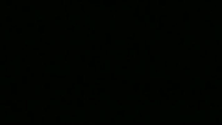 Telenorte - País Vasco - Telenorte-País Vasco - (30/07/12)