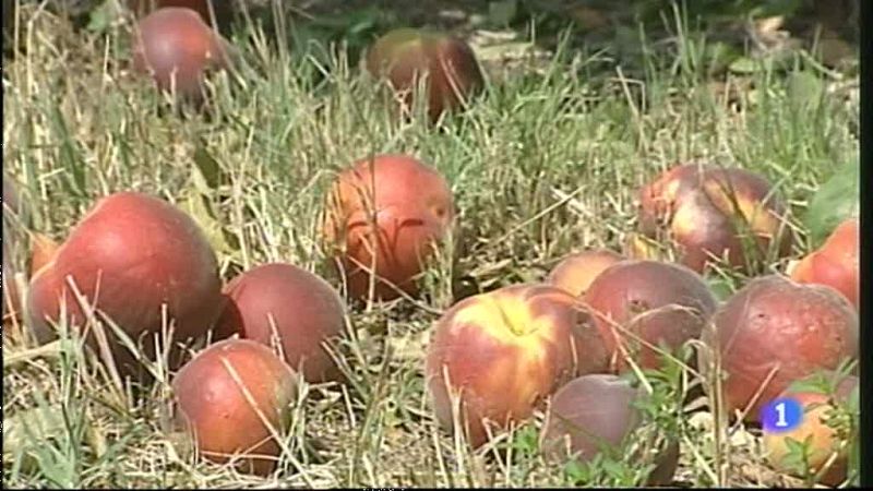 Noticias Aragón - 30/07/12 | Ver