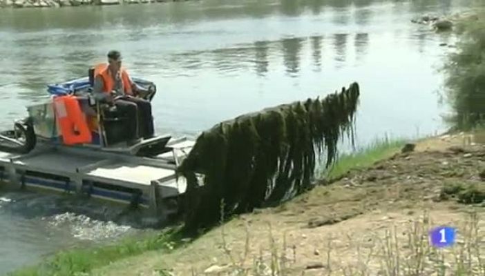 Noticias Aragón - Noticias Aragón - 31/07/12