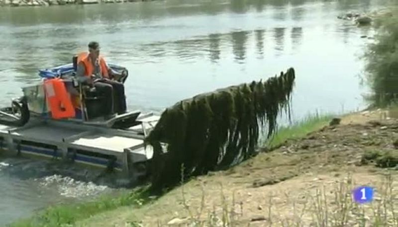 Noticias Aragón - 31/07/12 | Ver