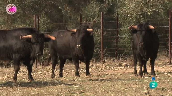 Tendido cero - Tendido cero - 04/08/12