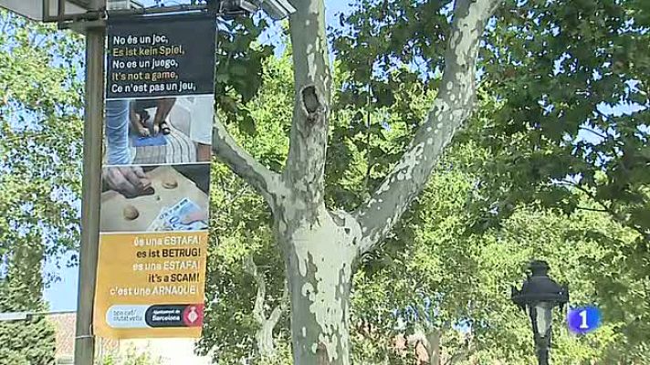 Telediario 1 - Alerta ante los trileros