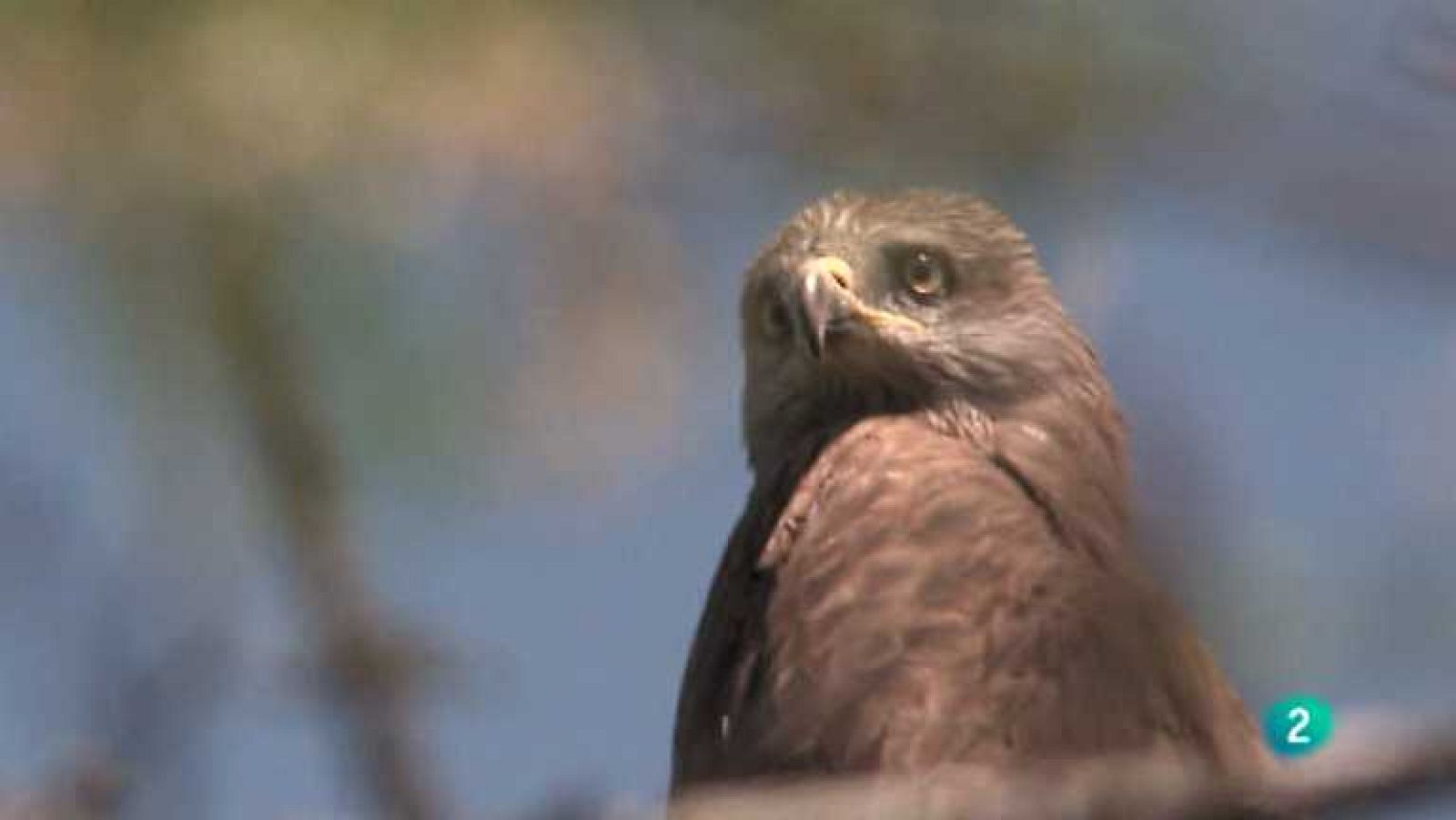 Biodiario - Bien avenido - ver ahora