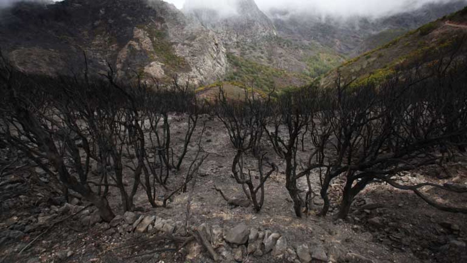 Siguen activos los incendios de La Gomera y La Palma