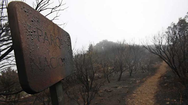 Telediario 1 - 3.000 ha. quemadas en la Gomera