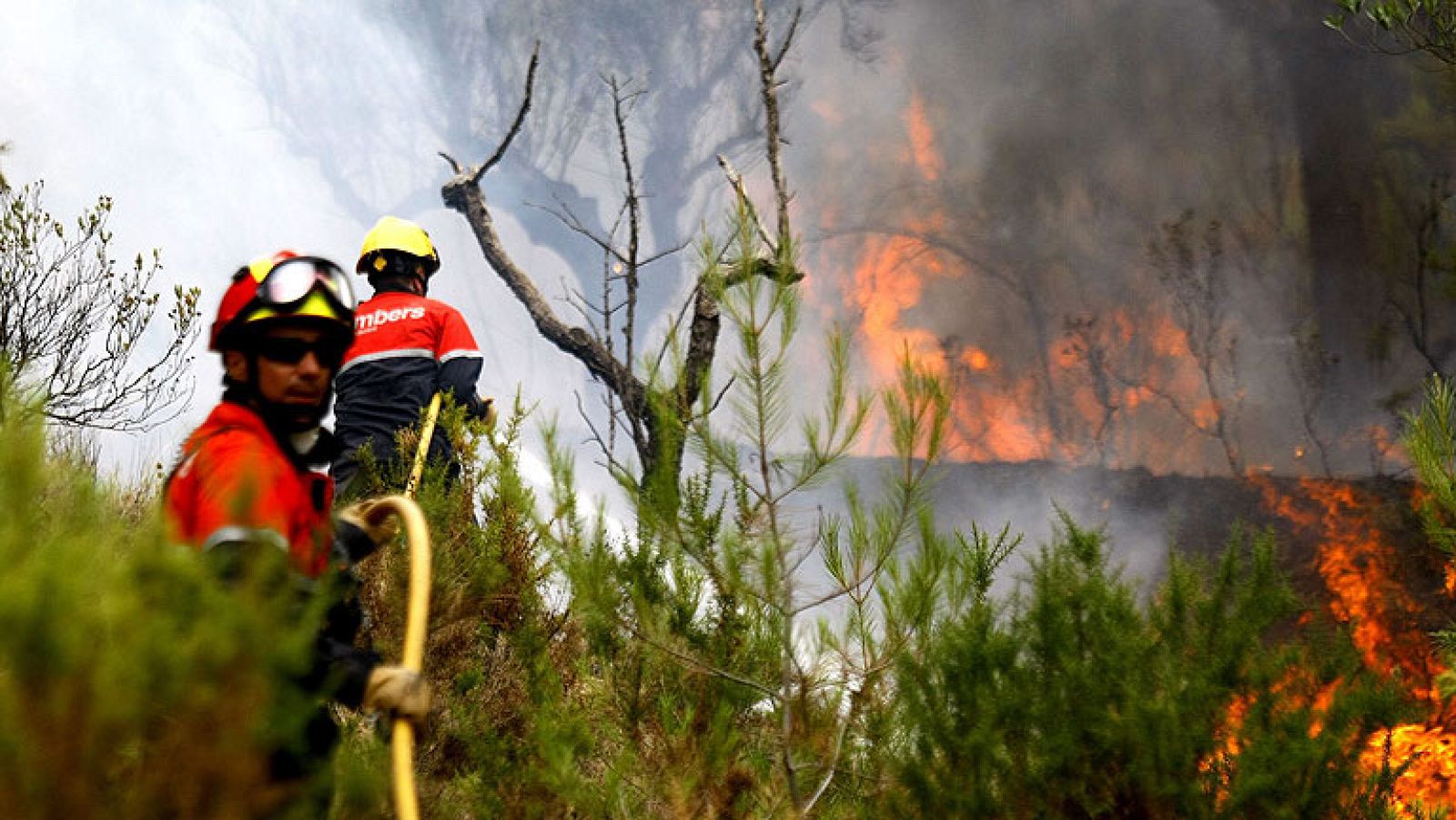 Canarias autoriza la vuelta a sus hogares de parte de los vecinos afectados por los incendios