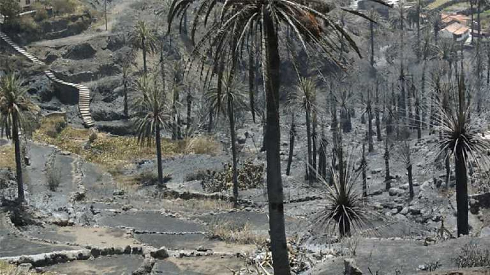 Telediario - 15 horas - 15/08/12 - Ver ahora