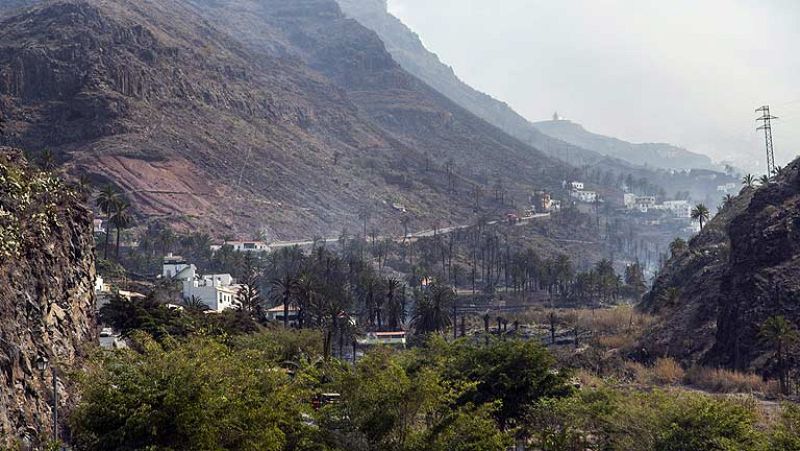 Los cipreses mediterráneos sirven como cortafuegos