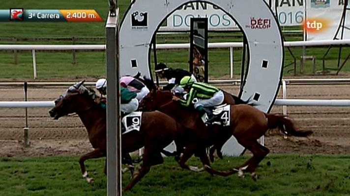 Turf - Turf - 15/08/12