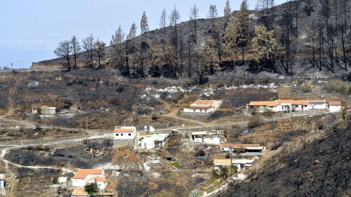 Informativo 24h - Primeras detenciones en La Gomera