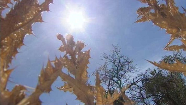 Informativo de Madrid - El tiempo en la Comunidad de Madrid - 16/08/12