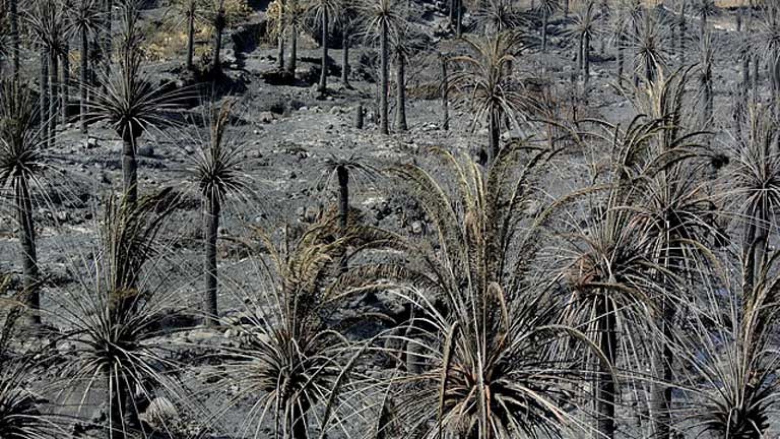 Telediario 1 en cuatro minutos - 16/08/12