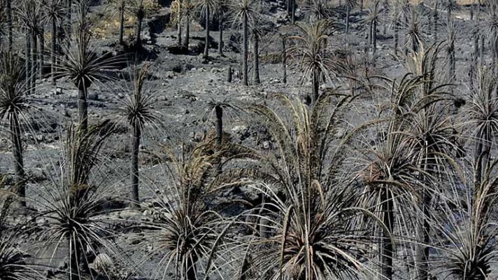 Telediario 1 - Telediario 1 en 4' - 16/08/12