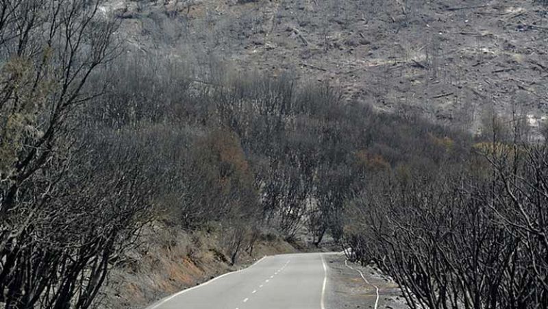 El incendio de la Gomera sigue sin control e imposible de estabilizar en las próximas 24 horas