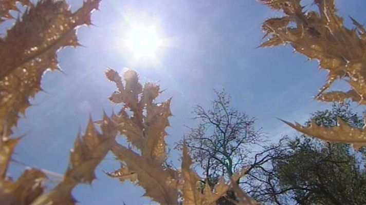 El tiempo - Nueva ola de calor