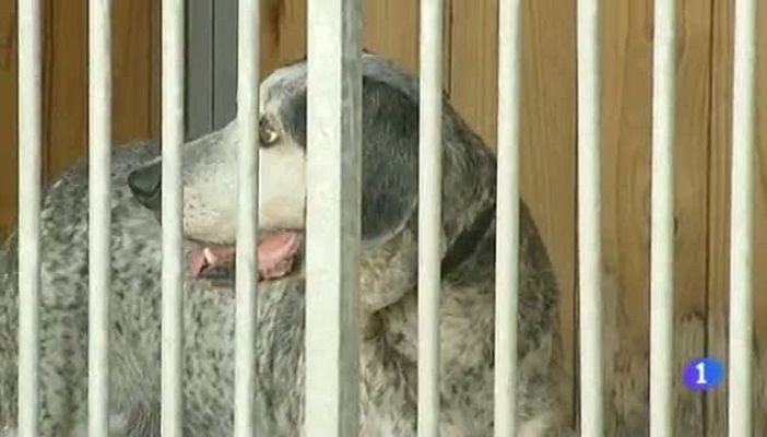 Noticias Aragón - Noticias Aragón - 17/08/12