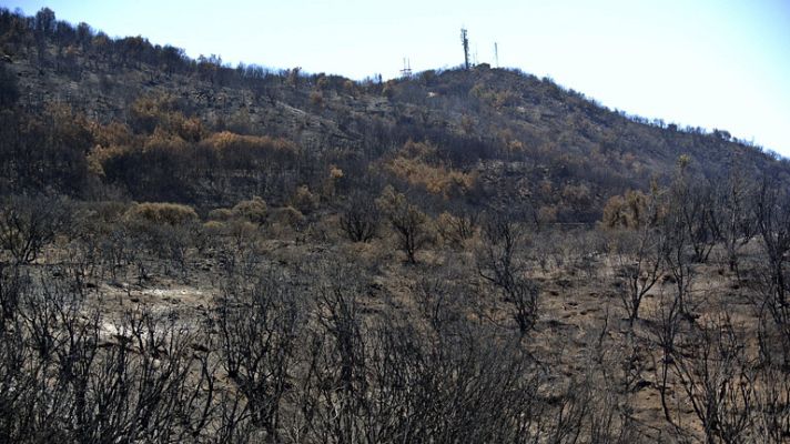 Telediario 1 - Continúa activo bajo tierra el incendio de La Gomera