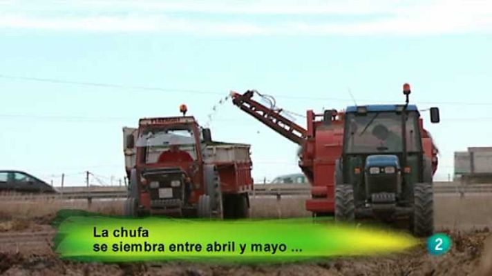 Agrosfera - Agrosfera - 18/08/12