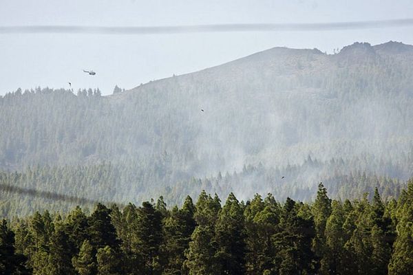 Telediario 1 - Cerrados espacios naturales
