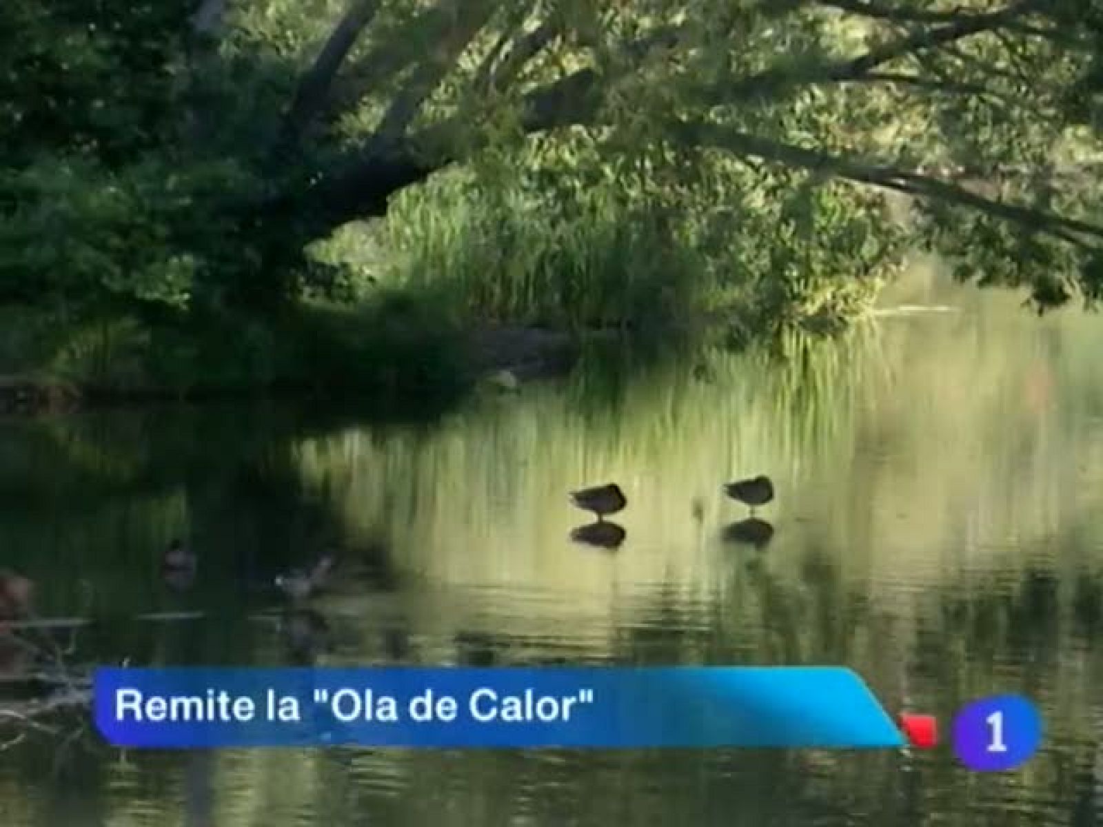 Telenavarra - 21/08/12 | Ver