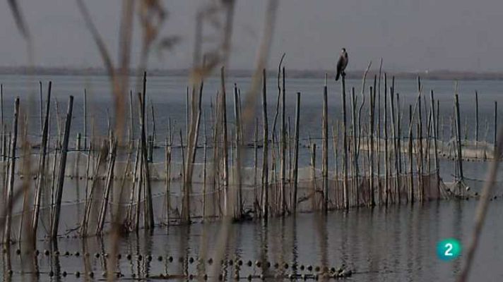 Biodiario - Biodiario - 21/08/12