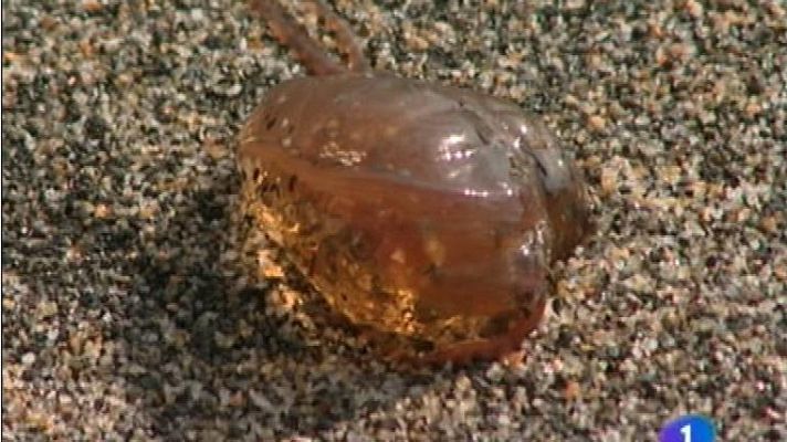 Panorama Regional - Asturias en 2' - 22/08/12