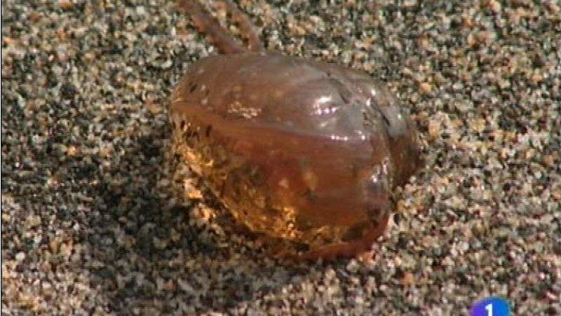 Asturias en 2' - 22/08/12 | Ver