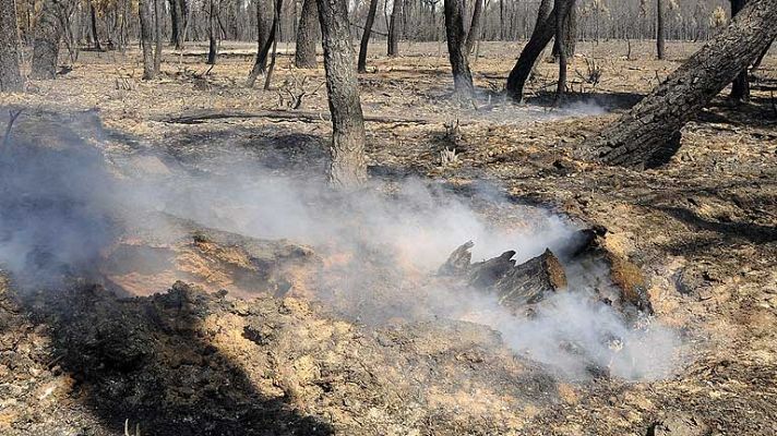 Telediario 1 - El incendio de León se mantiene estabilizado y ya no tiene llamas