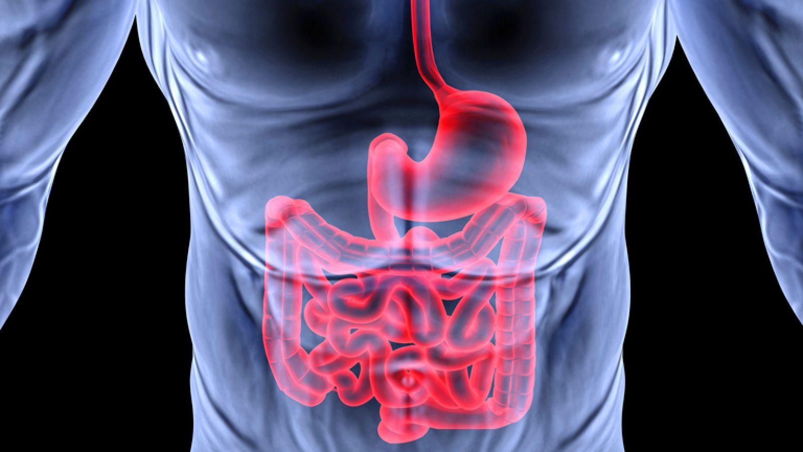 Saber vivir - Aparato digestivo - Ver ahora