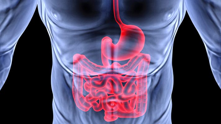 La mañana - ¿De tal palo tal astilla?