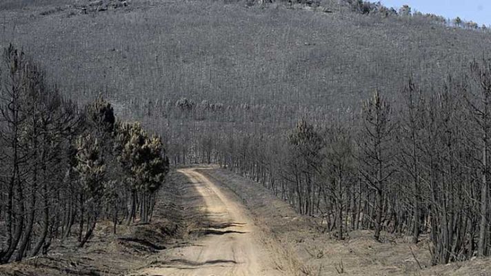 Telediario 1 - Nivel uno en el incendio de León