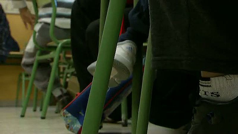 Wert no descarta cambiar la ley para que los colegios por sexos puedan ser concertados