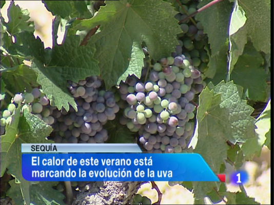 Informativo Telerioja - Informativo Telerioja - 24/08/12