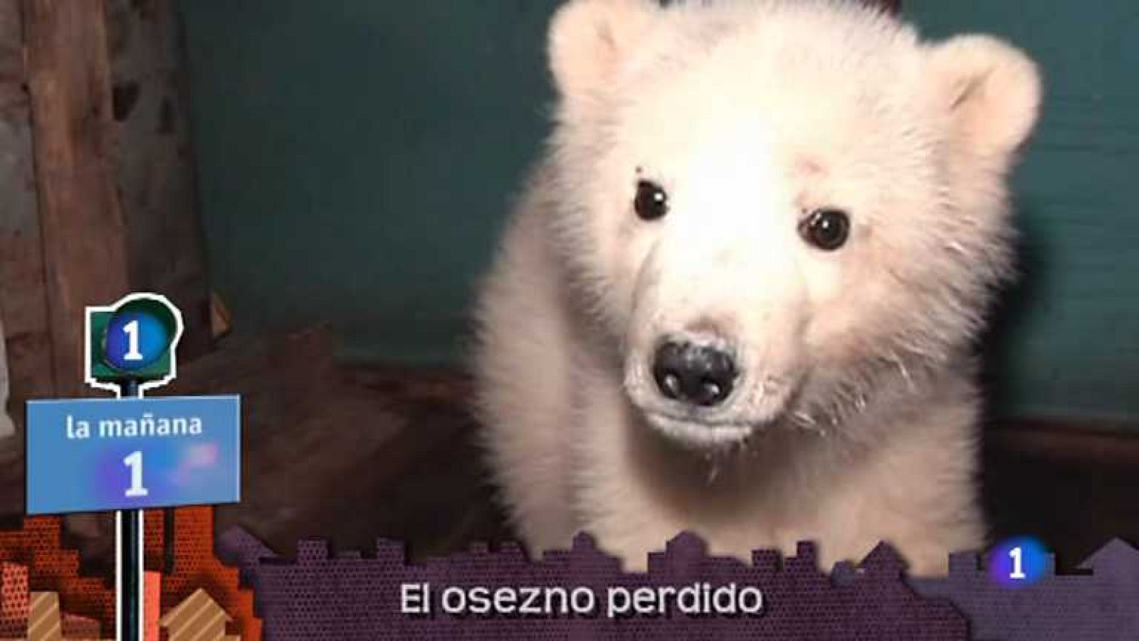 Lo que hay que ver - 25/08/12 - Ver ahora