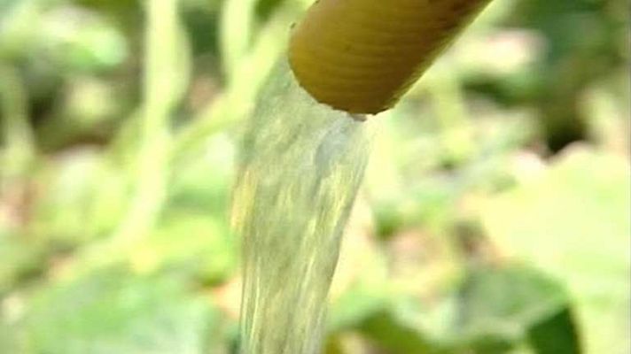 Telediario 1 - Año extremadamente seco