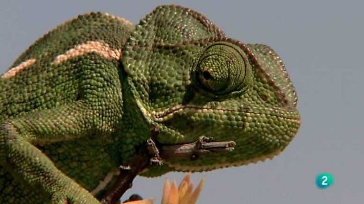 Biodiario - Biodiario - 26/08/12