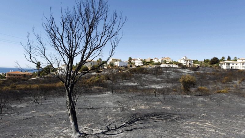 Controlado el incendio de Estepona