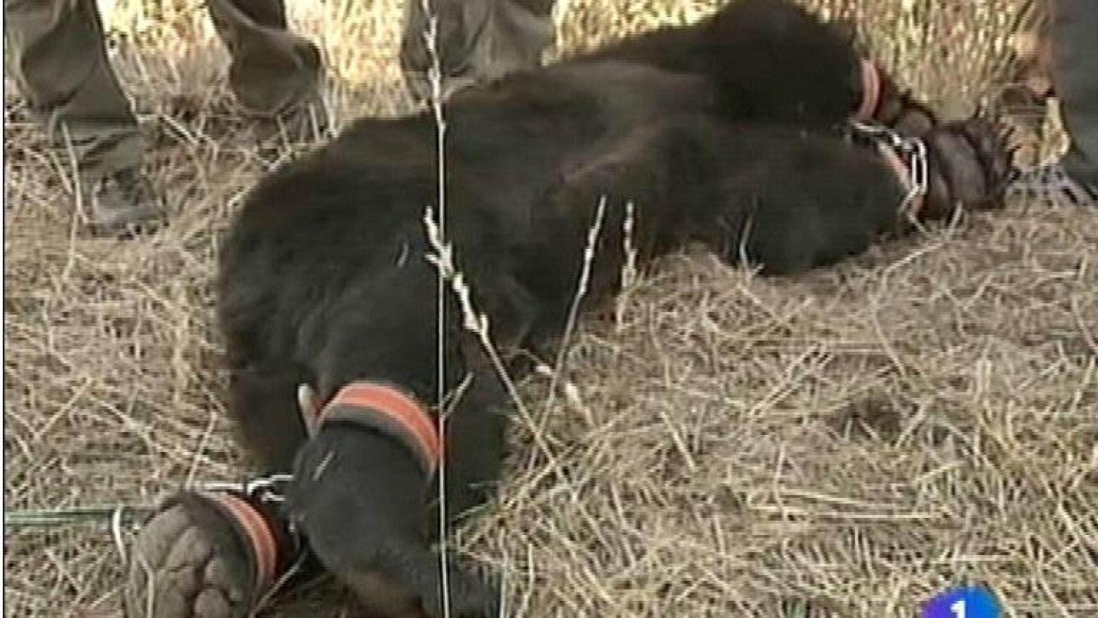 Asturias en 2' - 27/08/12 | Ver