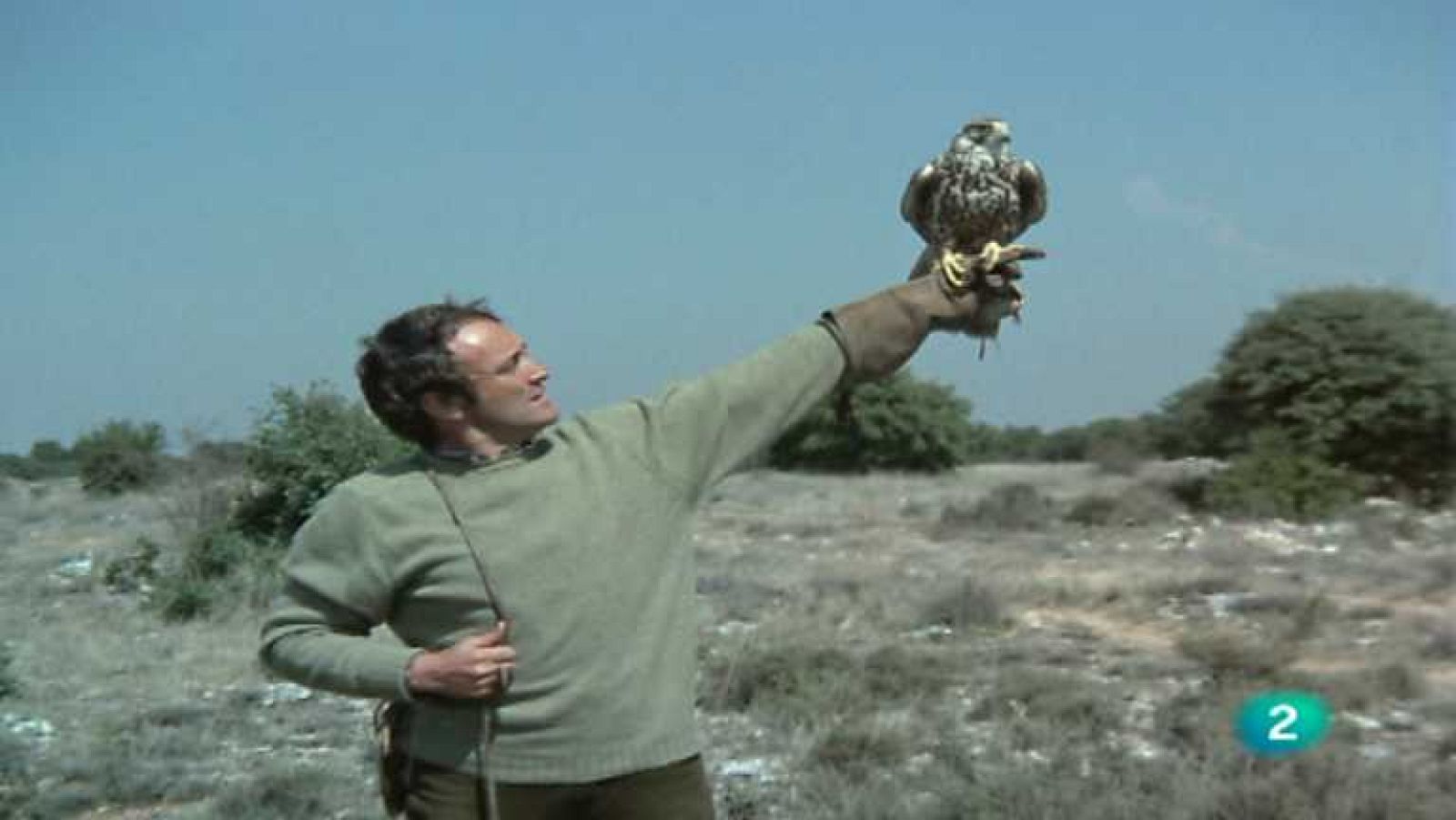 El hombre y la Tierra (Fauna ibérica) - Altanería, 1 - ver ahora