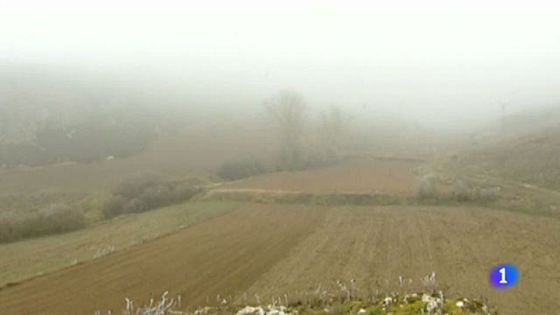 "Palabras que agonizan", recopilación de palabras utilizadas por Miguel Delibes en vías de extinción